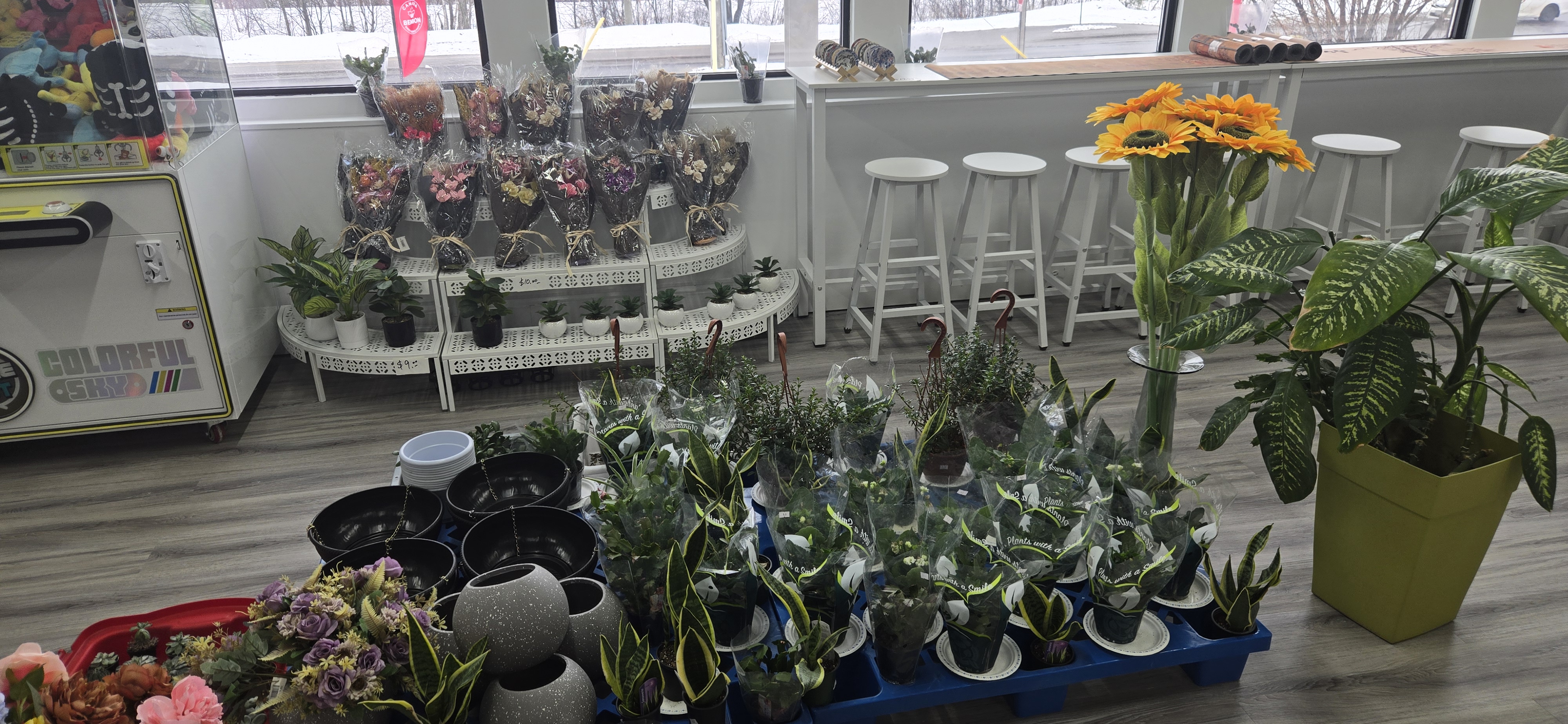 Front display and plants